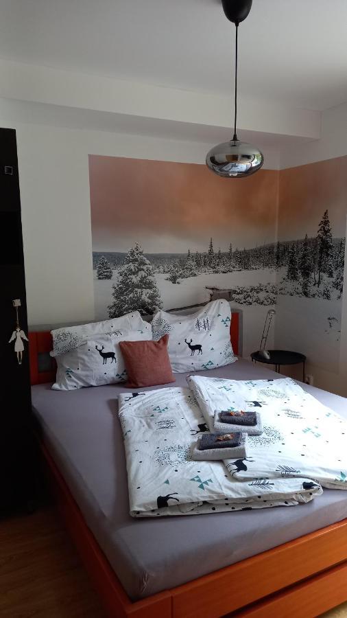 Harrachovsky Apartman المظهر الخارجي الصورة