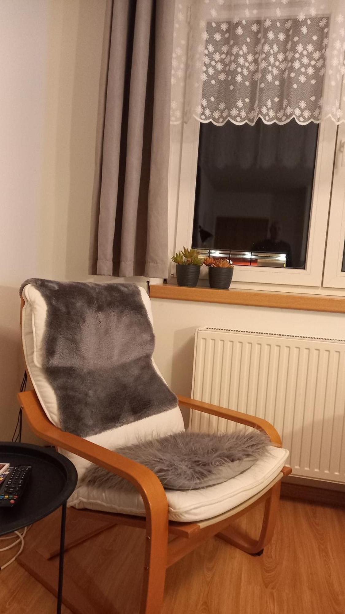 Harrachovsky Apartman المظهر الخارجي الصورة